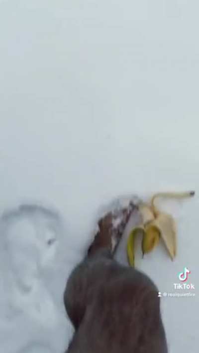 Man factory resets body by stepping on banana.