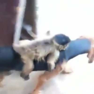 Boa tarde amigos