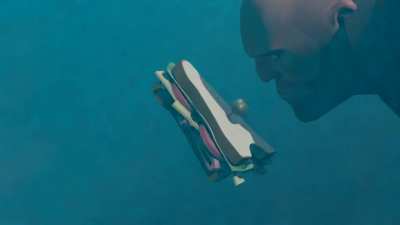 Sanvich lost at Sea