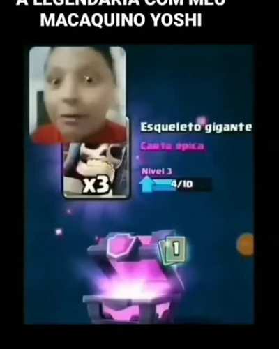 MACACO ELÉCTRICO