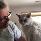 Make your best mean face.