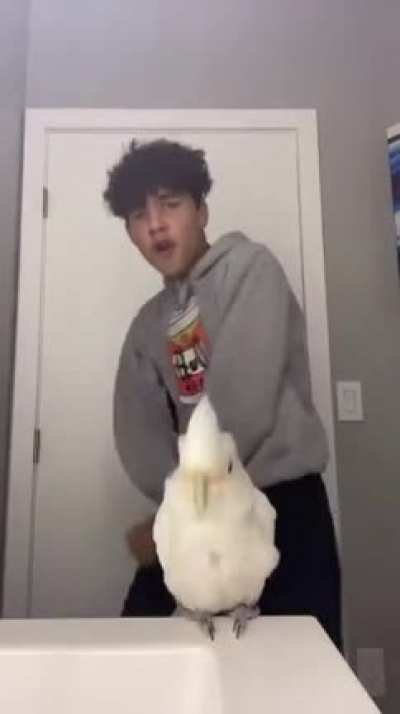 miren q tierno