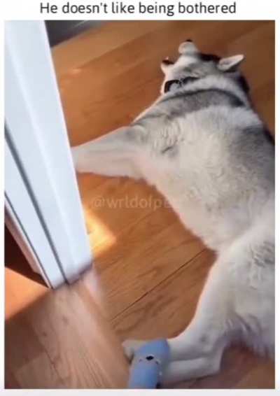 No touchy