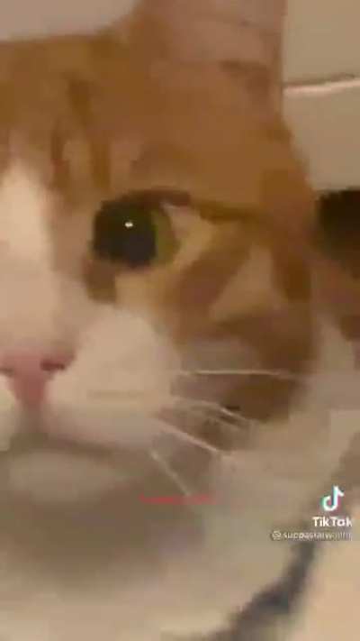 He attacc