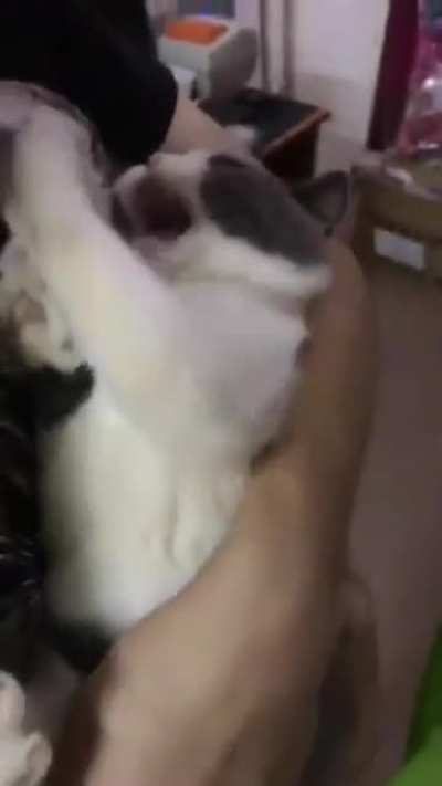I must have more!