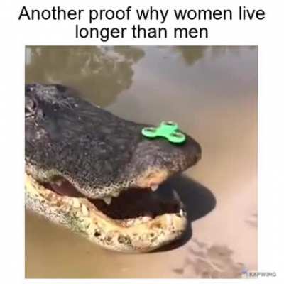 Spinner go brrrr
