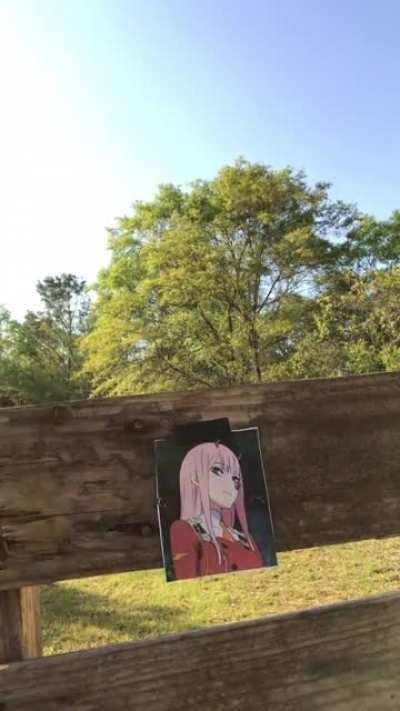 Ichigo’s Revenge