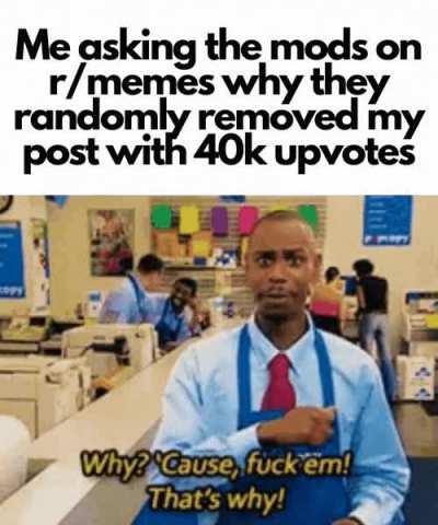 Just tell me why!