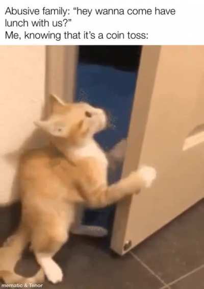 Cat time