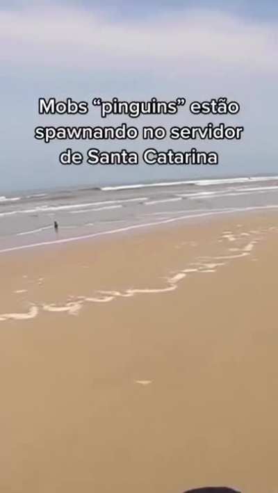 Estou ansioso para o patch que adicione o item 