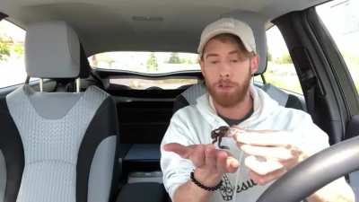 Imbrandonfarris eating a zebra tarantula