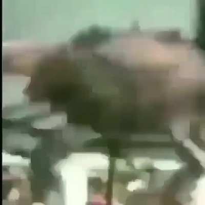 xd
