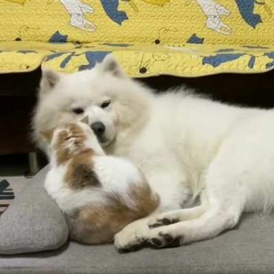 If I lay here