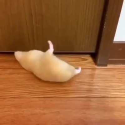 Maybe maybe maybe