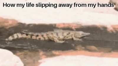 (Mandatory lol at the end)