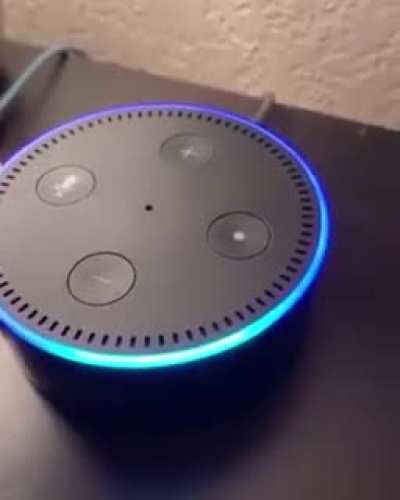 Hey alexa