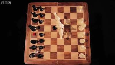 How to play chess properly
