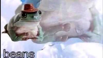 Beans