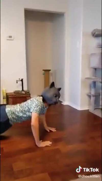 Y