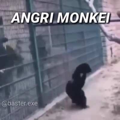 😡😡