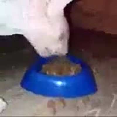 Crumpch