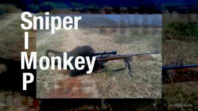sniper monke 😳🤚🏻