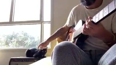 A cat singing the blues.
