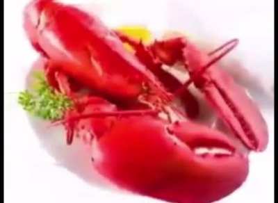 lobstar
