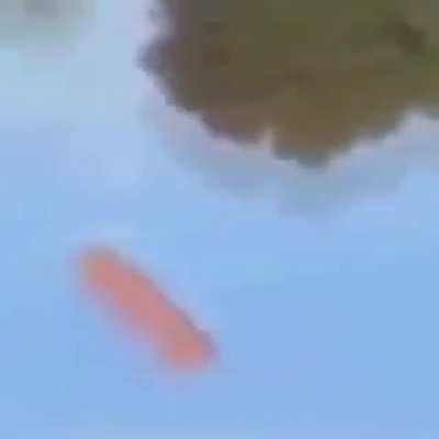 Sosig rule