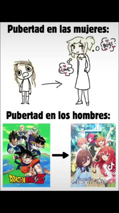 Xd