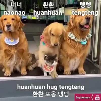 Perfect pic of the Family