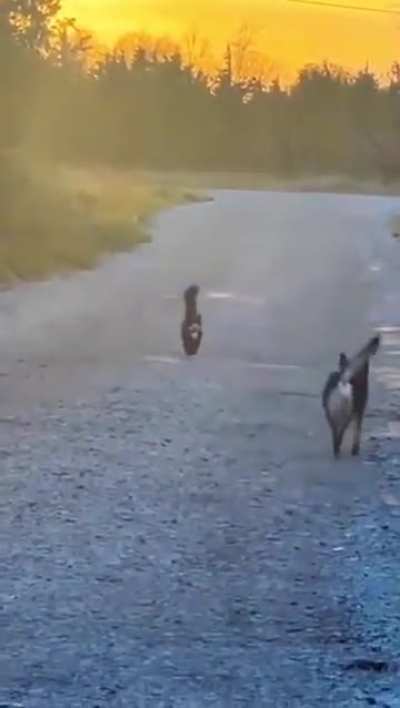 Amigos <3