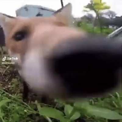115648