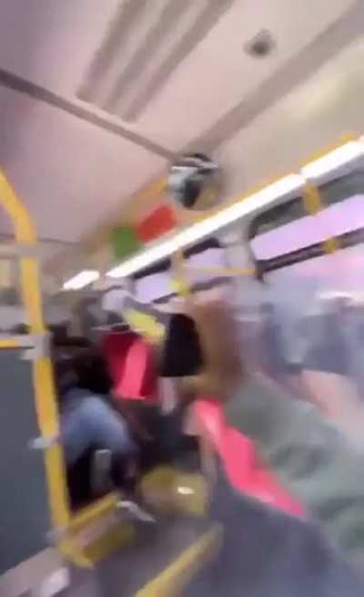 domestic terrorism