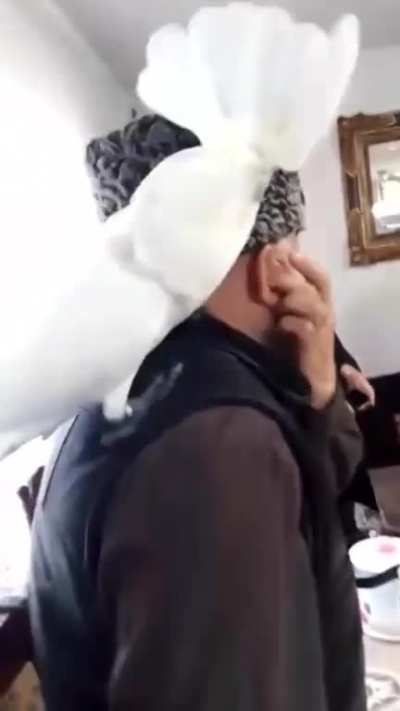 Aaaa Aaaaa AAAAAAAAAA