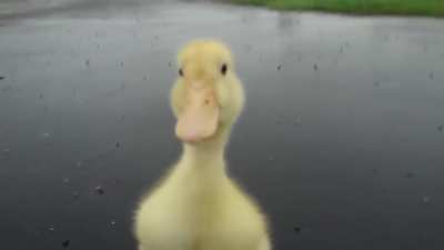 >:3