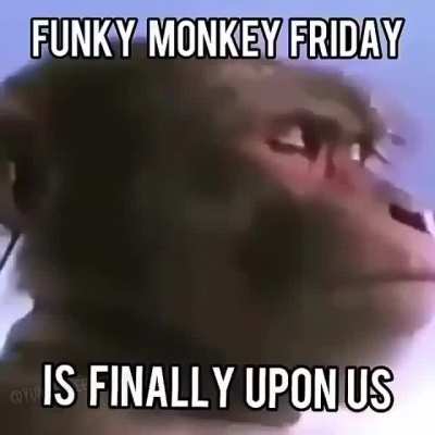 Time for celebration boys