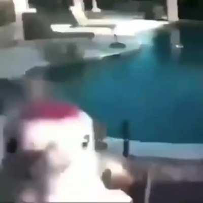 WTF