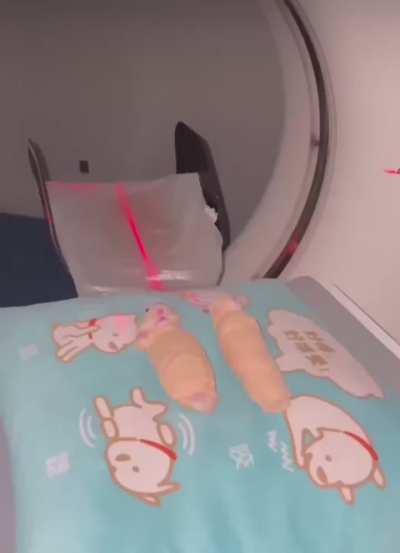 Wunky spring rolls