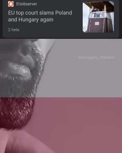 soyboy eu vs chad hungary and poland