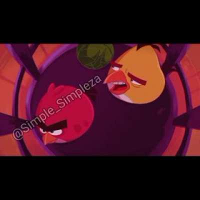 Momento XD