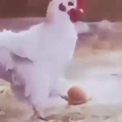 lol