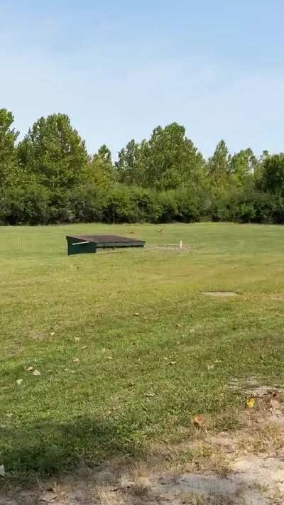 Shooting range? I’ll lay down here