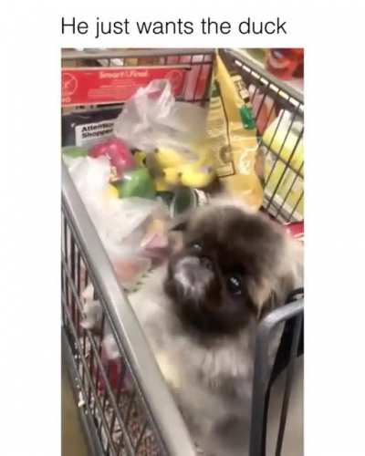 Love at first sight