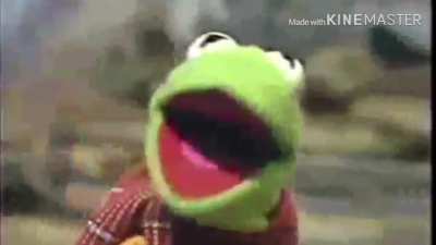 tragic death of Kermit 😔