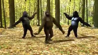 Me and my homies after we returned to monke monkey monke monke monke monke monke monke monke monke monke monke monke monke monke monke monkey monkeys grillas Apes.