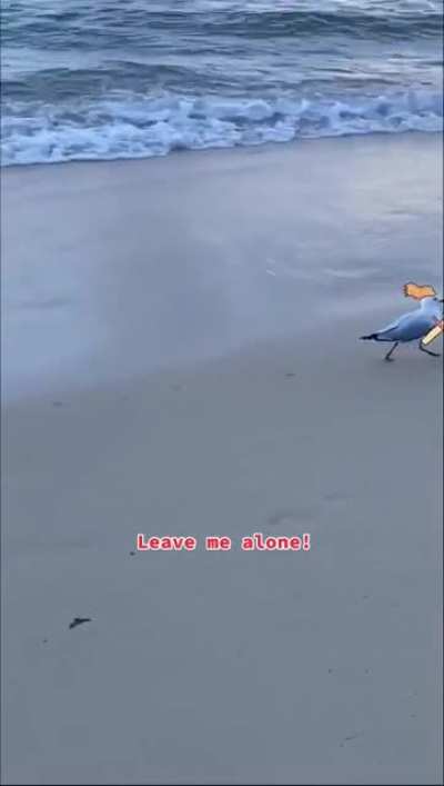 Suspect has the chippy