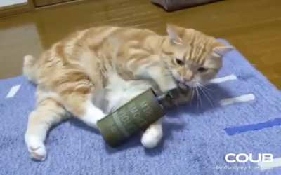 /r/aww