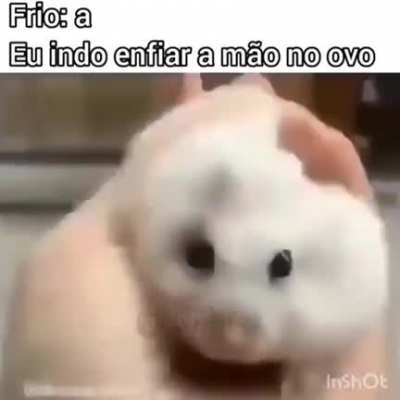 🤭🤭