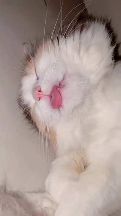 🥺✨